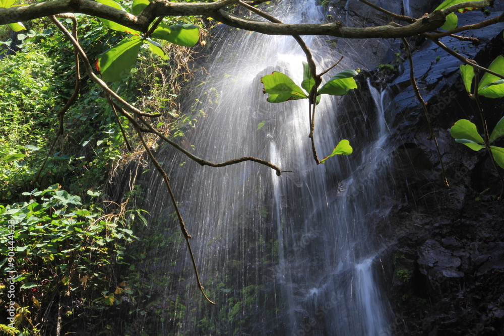 Fototapeta premium anse des cascades, Réunion