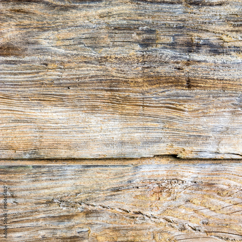 Naklejka premium The old wood texture with natural patterns