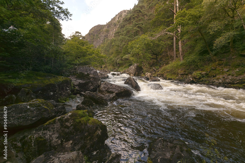 The mountain stream The mountain stream