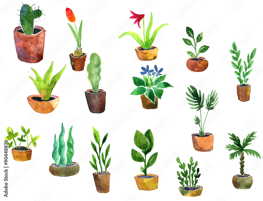 Fototapeta premium watercolor drawing home plants