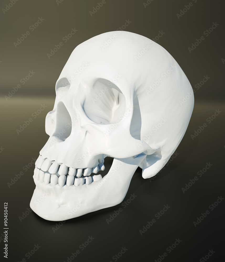 Obraz premium white scull