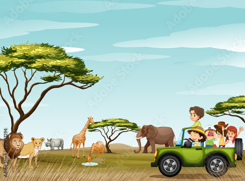 Roadtrip in the field full of animals