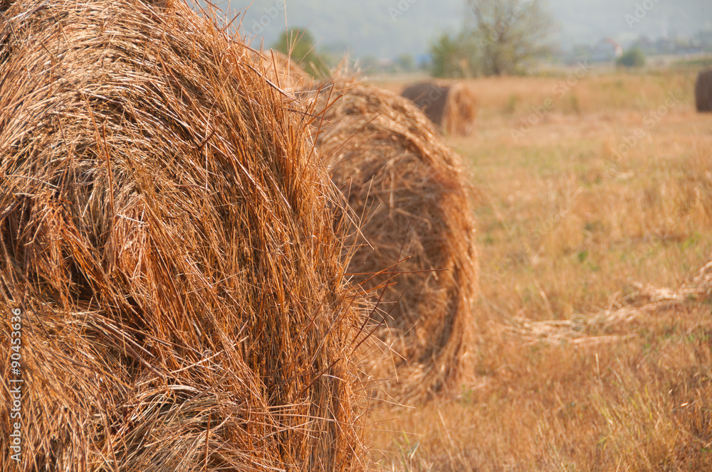 Fototapeta premium Summer Farm Scenery with Haystack. Agriculture Concept.