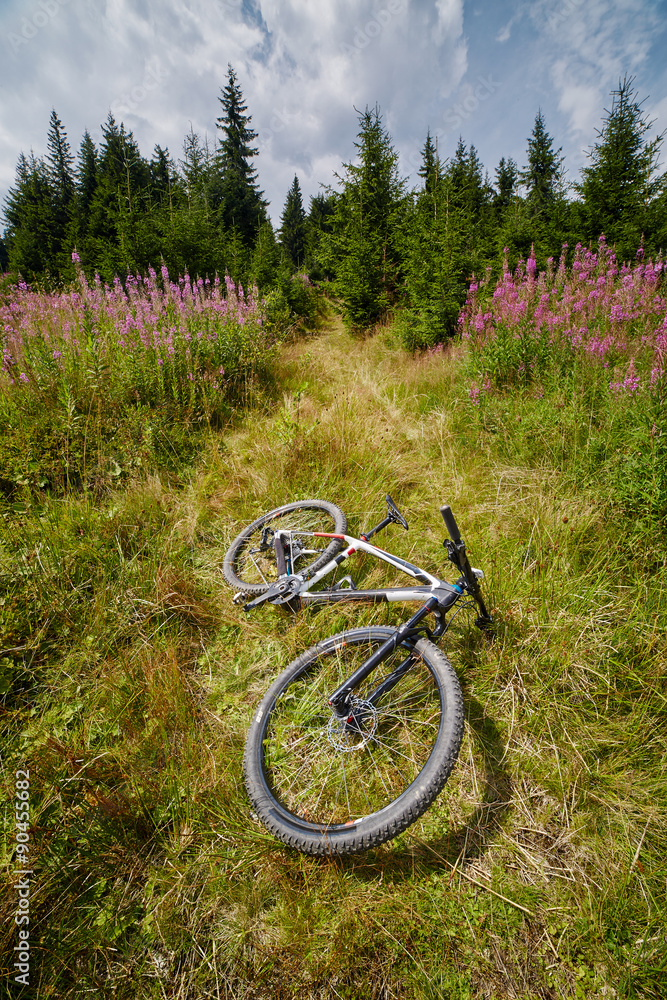 Mountain bike resting in a field near forest Mountain bike resting in a field near forest