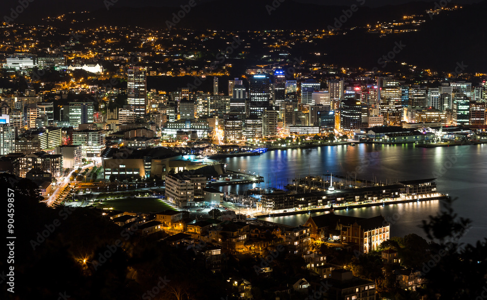 Wellington City At Night