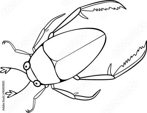 Coloring page hydrophilidae