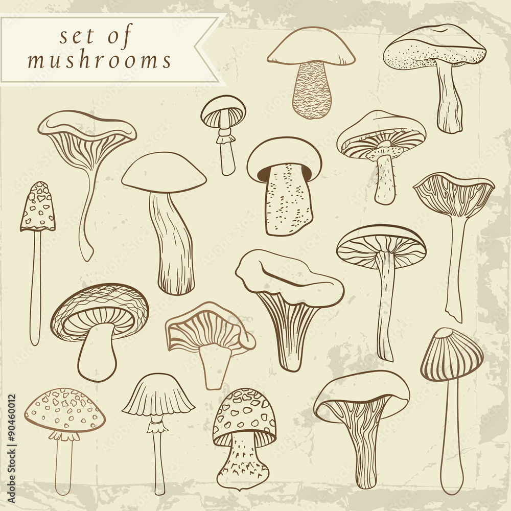 Set of different hand drawn mushrooms in pastel brown tones. Set of different hand drawn mushrooms in pastel brown tones.