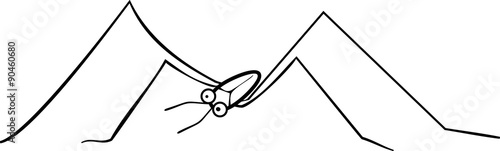 Coloring page water strider