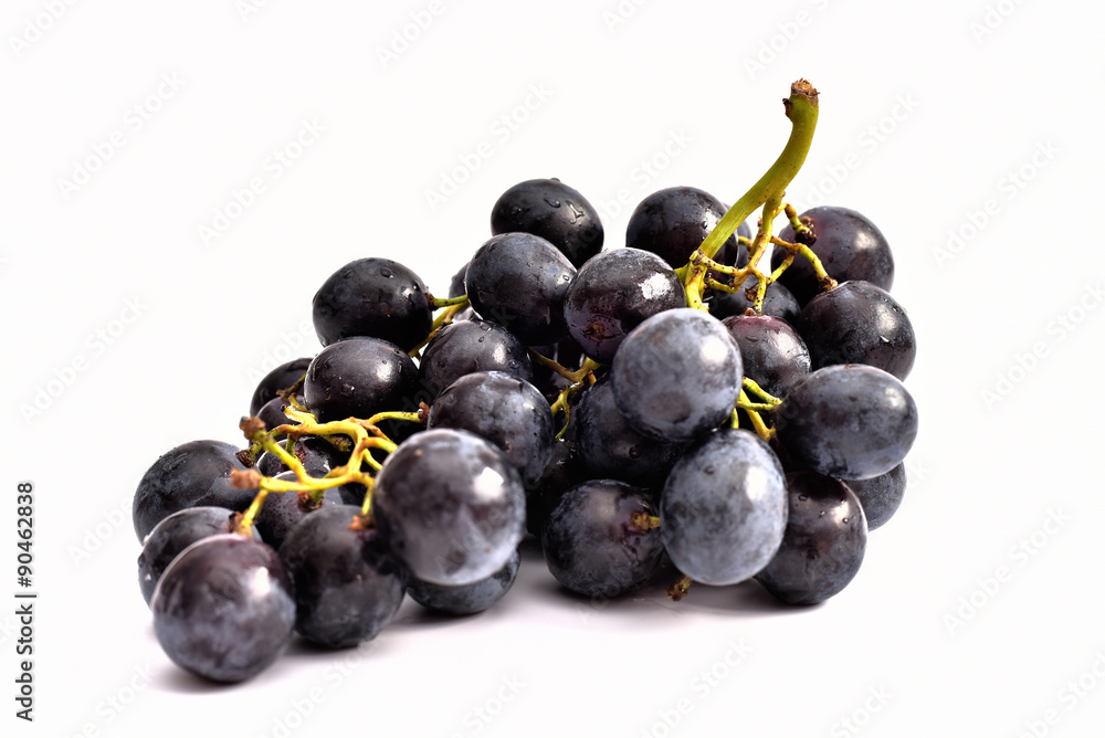 Tasty Grapes Tasty Grapes
