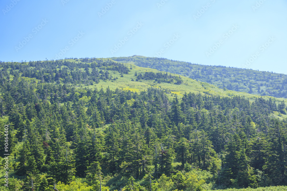 夏の森吉山　秋田県北秋田市