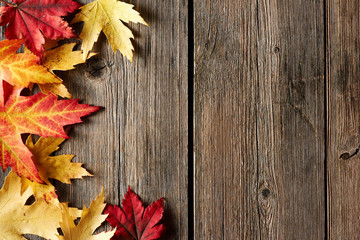 Autumn maple leaves over wooden background