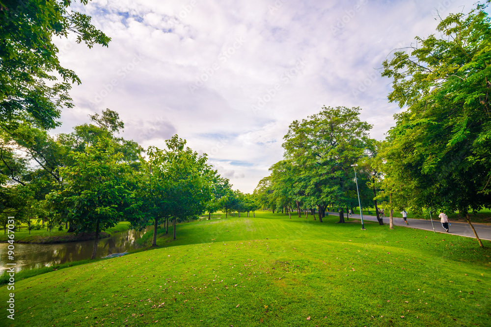 Fototapeta premium Green lawn on park field in Bangkok