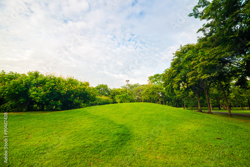 Fototapeta Naklejka Na Ścianę i Meble -  Green lawn on park field in Bangkok