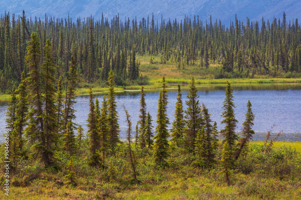 Lake on Alaska