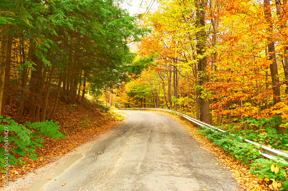 Autumn scene with road