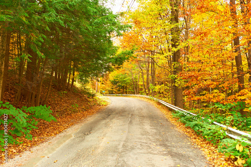 Autumn scene with road