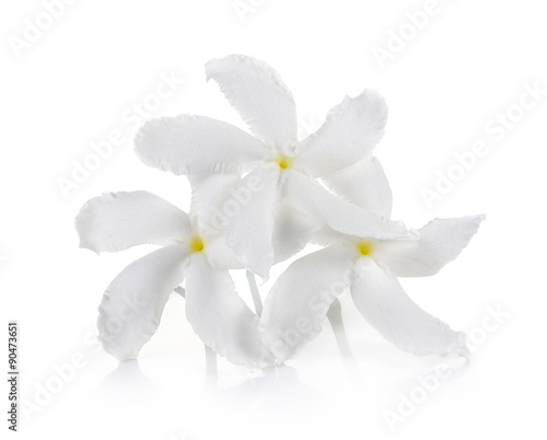 Fototapeta Naklejka Na Ścianę i Meble -  white flower on white background