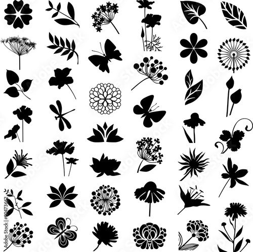 Natural collection