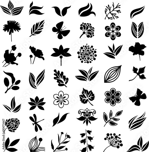 Natural collection