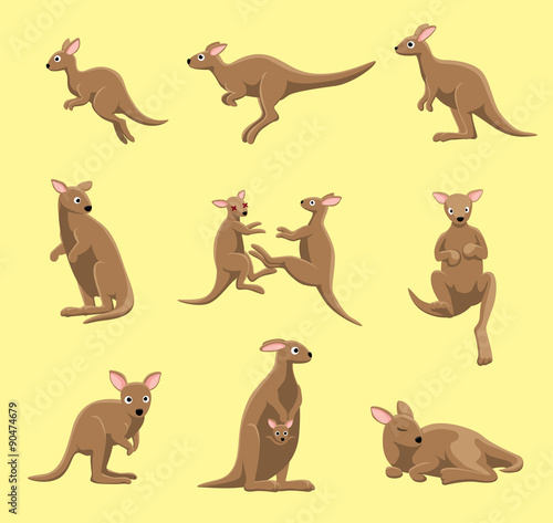 Kangaroo Poses Cartoon Vector Illustration