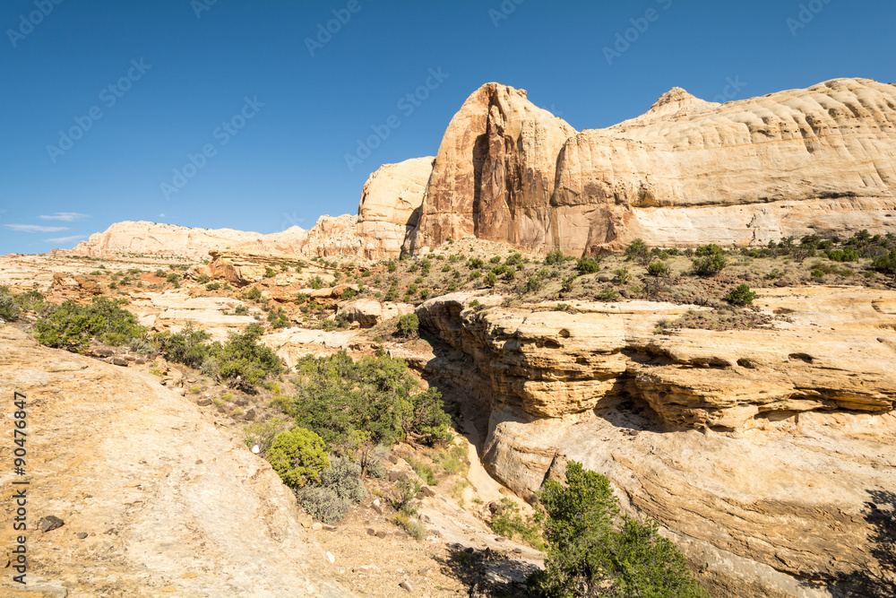 Obraz premium Capitol Reef National Park, Utah, USA