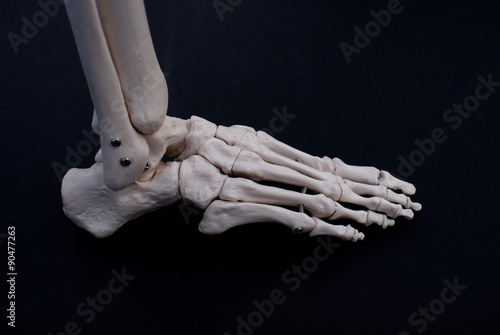 Lateral View of The Foot 