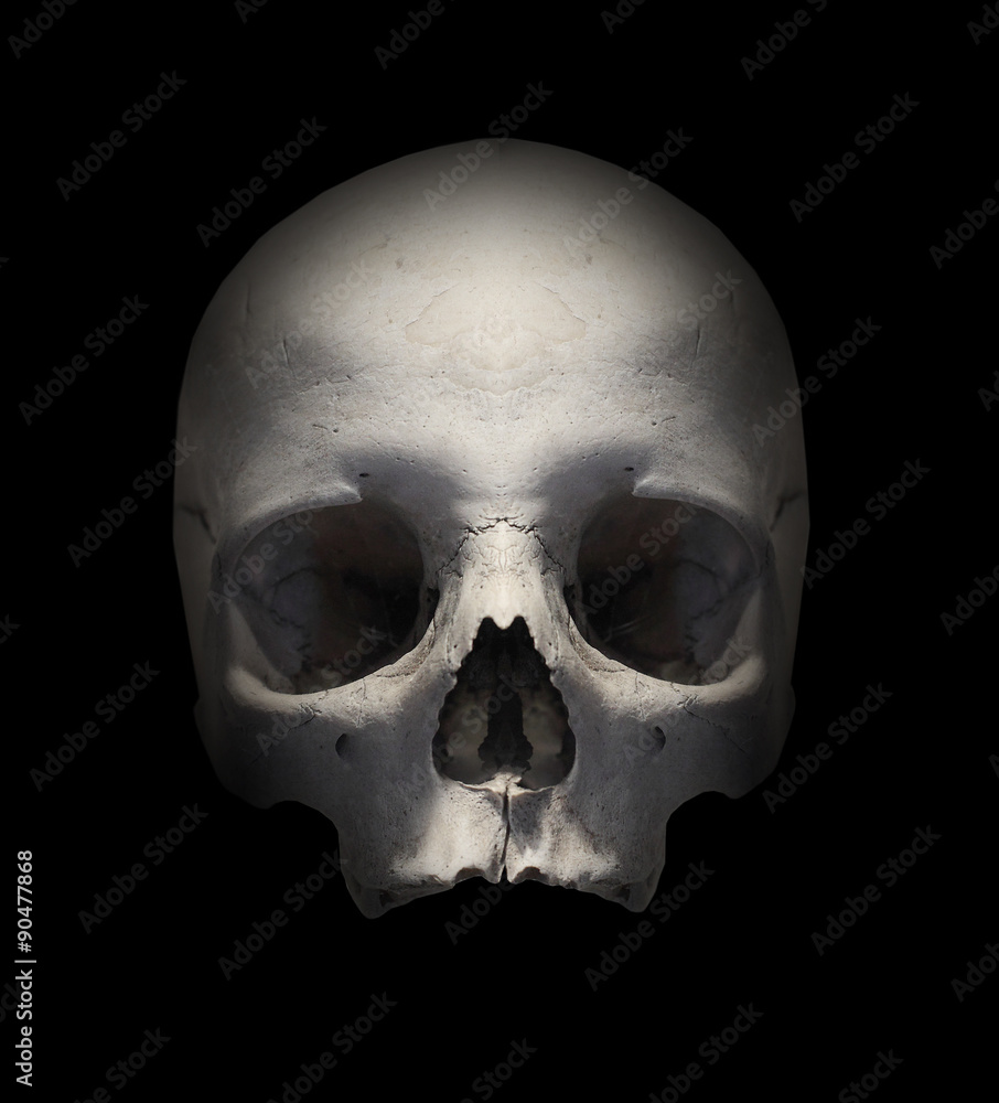 Human skull on black.