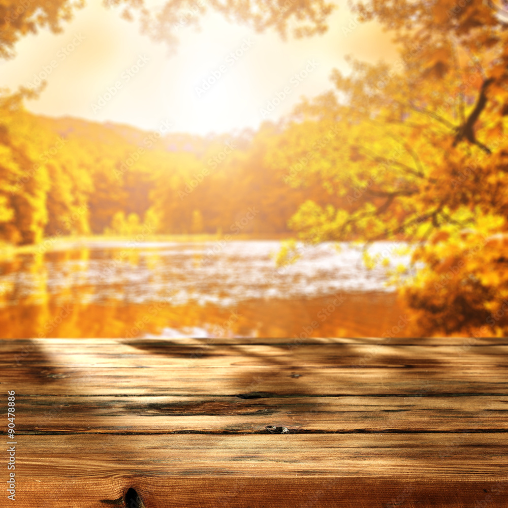 Obraz premium autumn background 