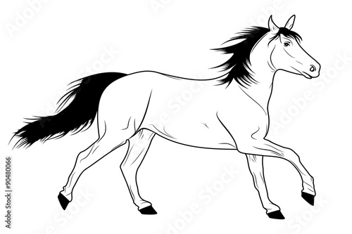 Running Horse Sketch
