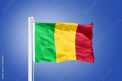 Flag of Mali flying against a blue sky