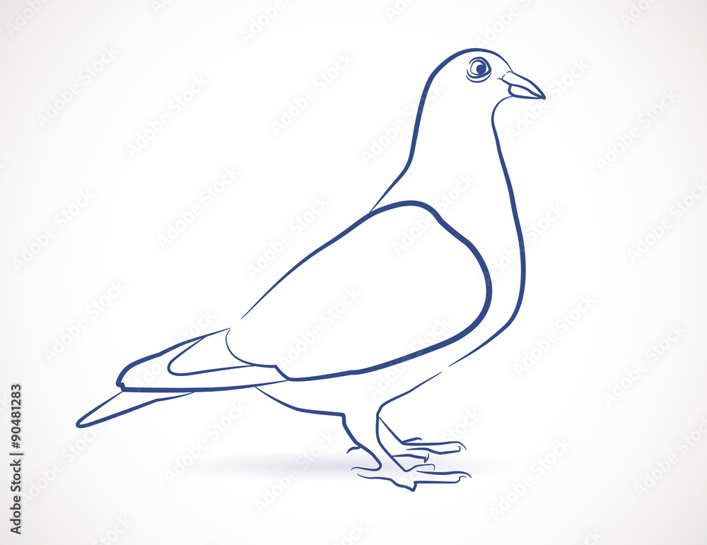 Dessin Croquis De Pigeon Stock Vector Adobe Stock Dessin Croquis De Pigeon Stock Vector Adobe Stock