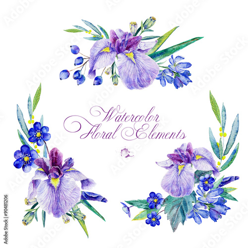 Set of floral elements for design.