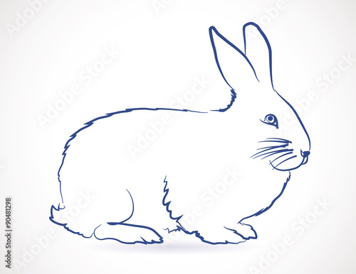 dessin, croquis de lapin