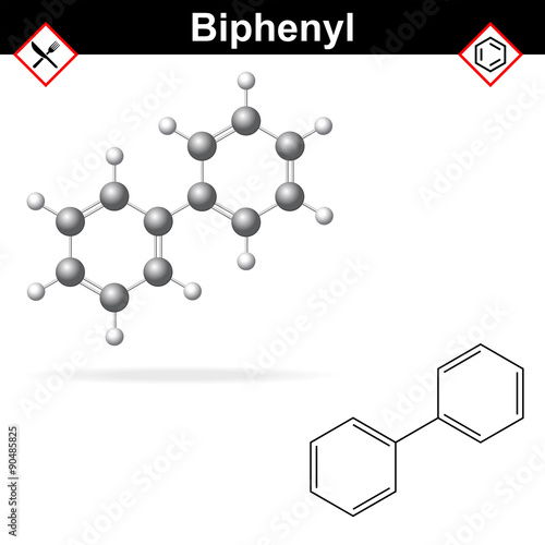 Biphenyl model