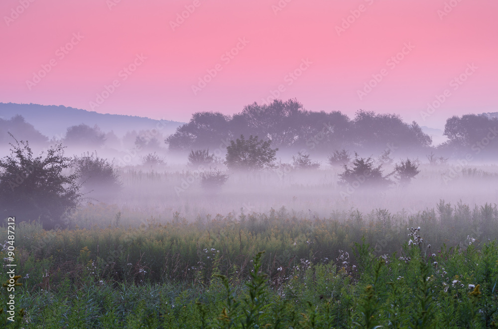 Calm dawn over misty meadow with pink sky