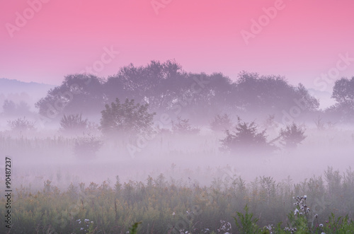 Calm dawn over misty meadow with pink sky © tomeyk