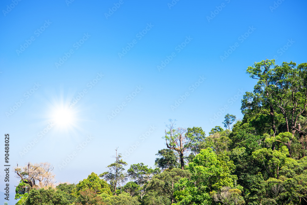 forest mountains landscape in winter sky , Chiang mai ,Thailand