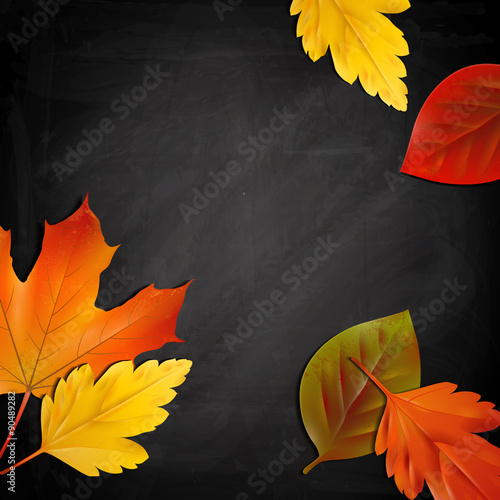 Bunte Herbstblätter auf Tafelhintergrund