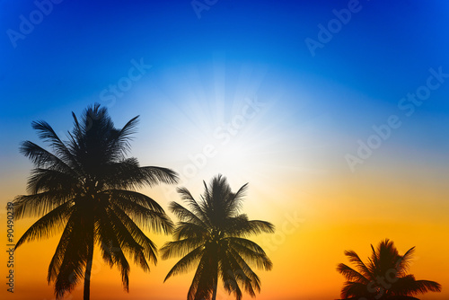 Fototapeta Naklejka Na Ścianę i Meble -  palm trees silhouette on sunset with two tone sky