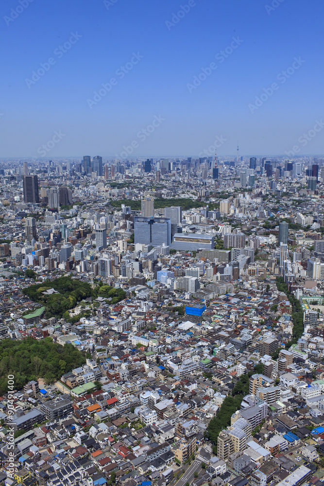 Fototapeta premium 都心の風景/目黒周辺の空撮