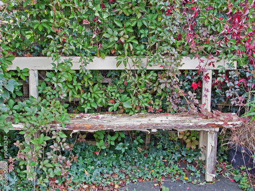 Tableau sur toile Overgrown dilapidated garden bench in the autumn