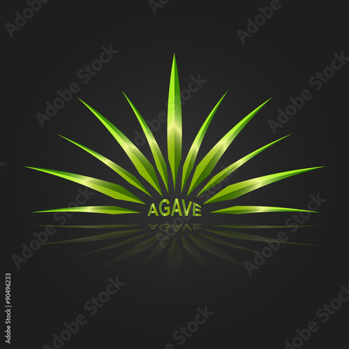 Agave vector design template