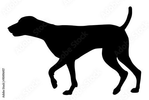 Hunting dog