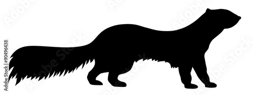 Polecat