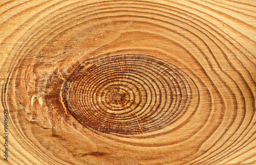 Wallpaper Mural Wood texture close-up background. Torontodigital.ca