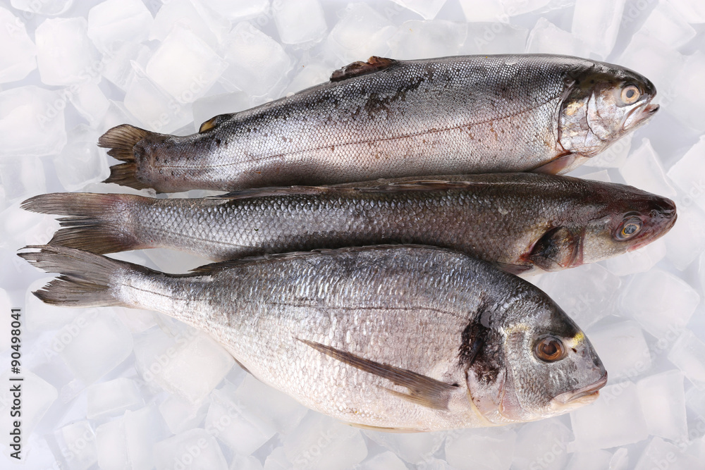 Fresh fishes on ice background