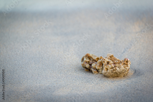 Small rock washed away in white sand
