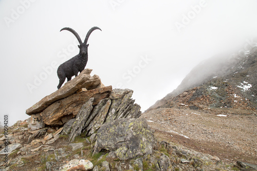 statua stambecco alagna photo