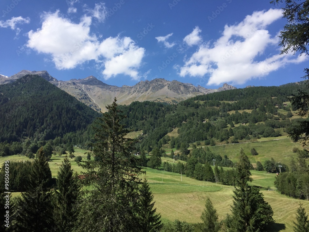 Obraz premium montagne panorama verde natura