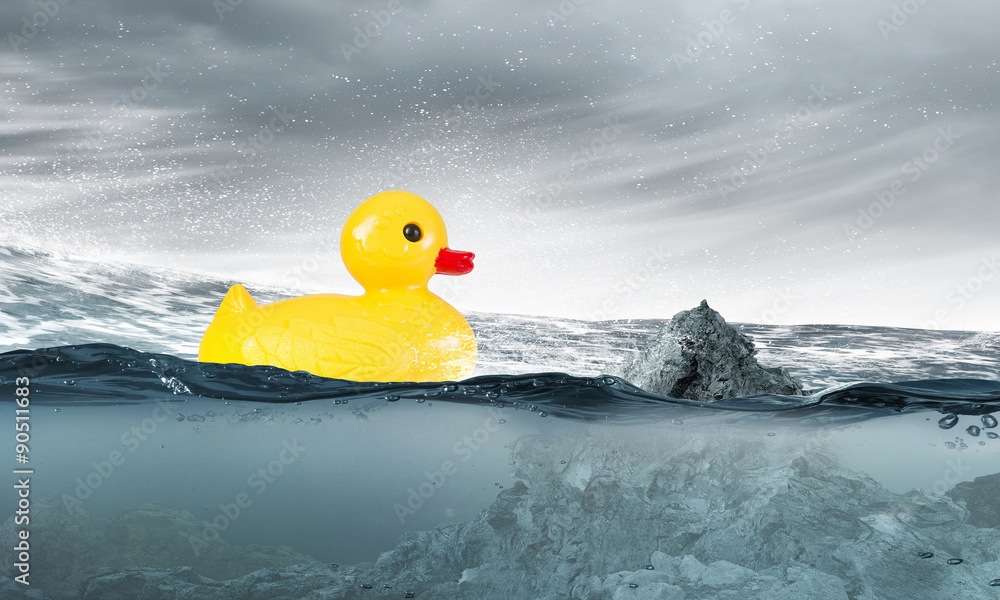 Duck toy Duck toy